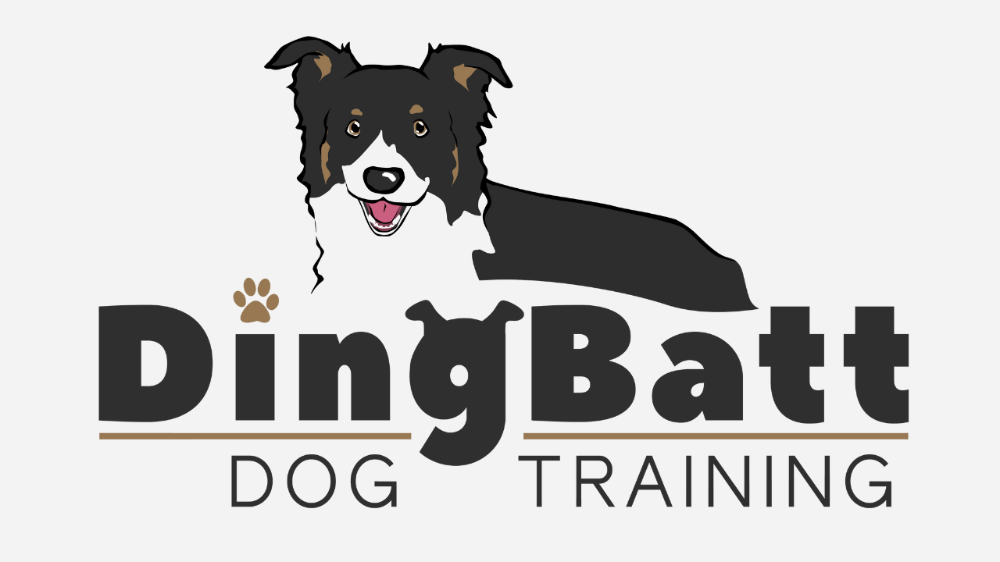 Header Logo