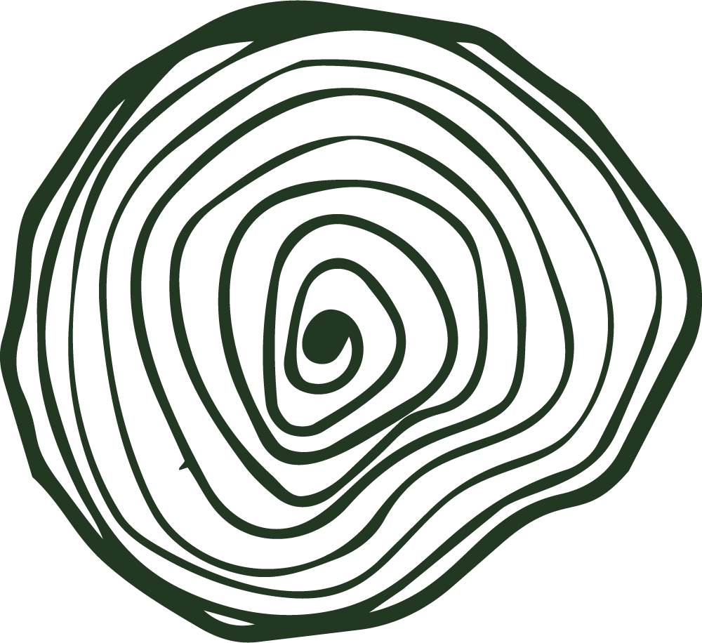 illustration of a spiral pattern that resembles a tree stump