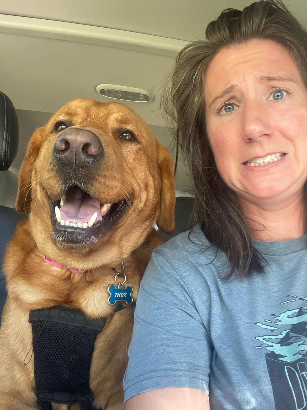 jasmine rose marie and thor sacred cycle companion