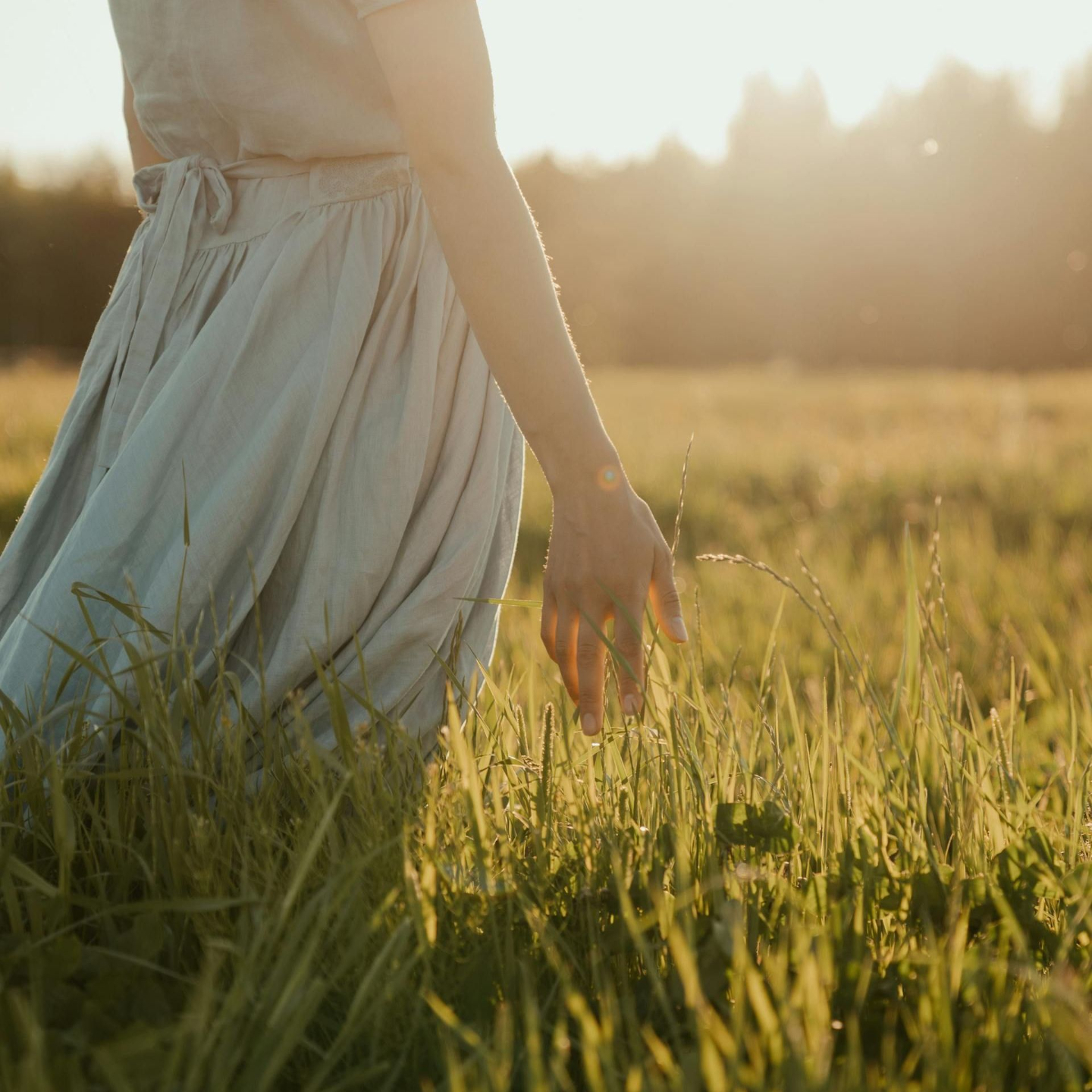 womans hand touching tall grass with sun rays shining from behind her