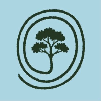 tree in a spiral illustration