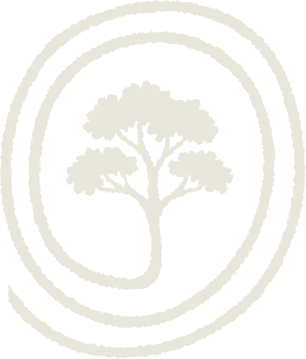 tree within a spiral shape