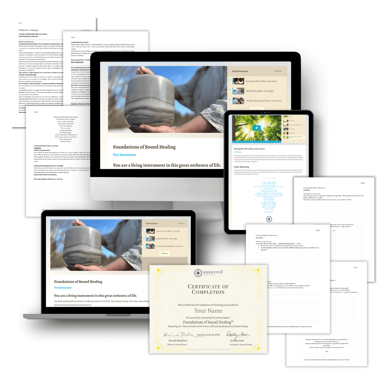 preview of the learning materials and online portal of the Foundations of Sound Healing program