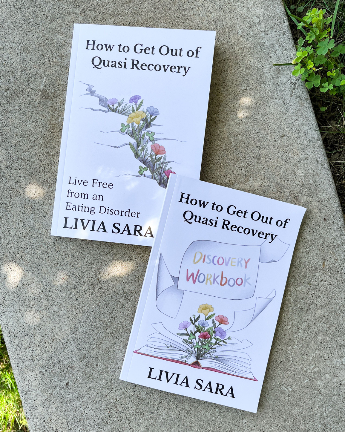 How to Get Out of Quasi Recovery and Discovery Workbook by Livia Sara
