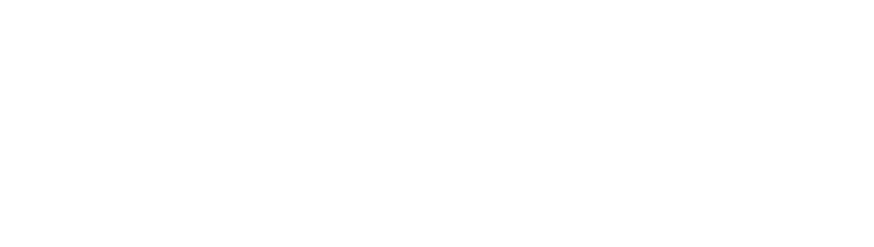 NZ VA Awards Logo White