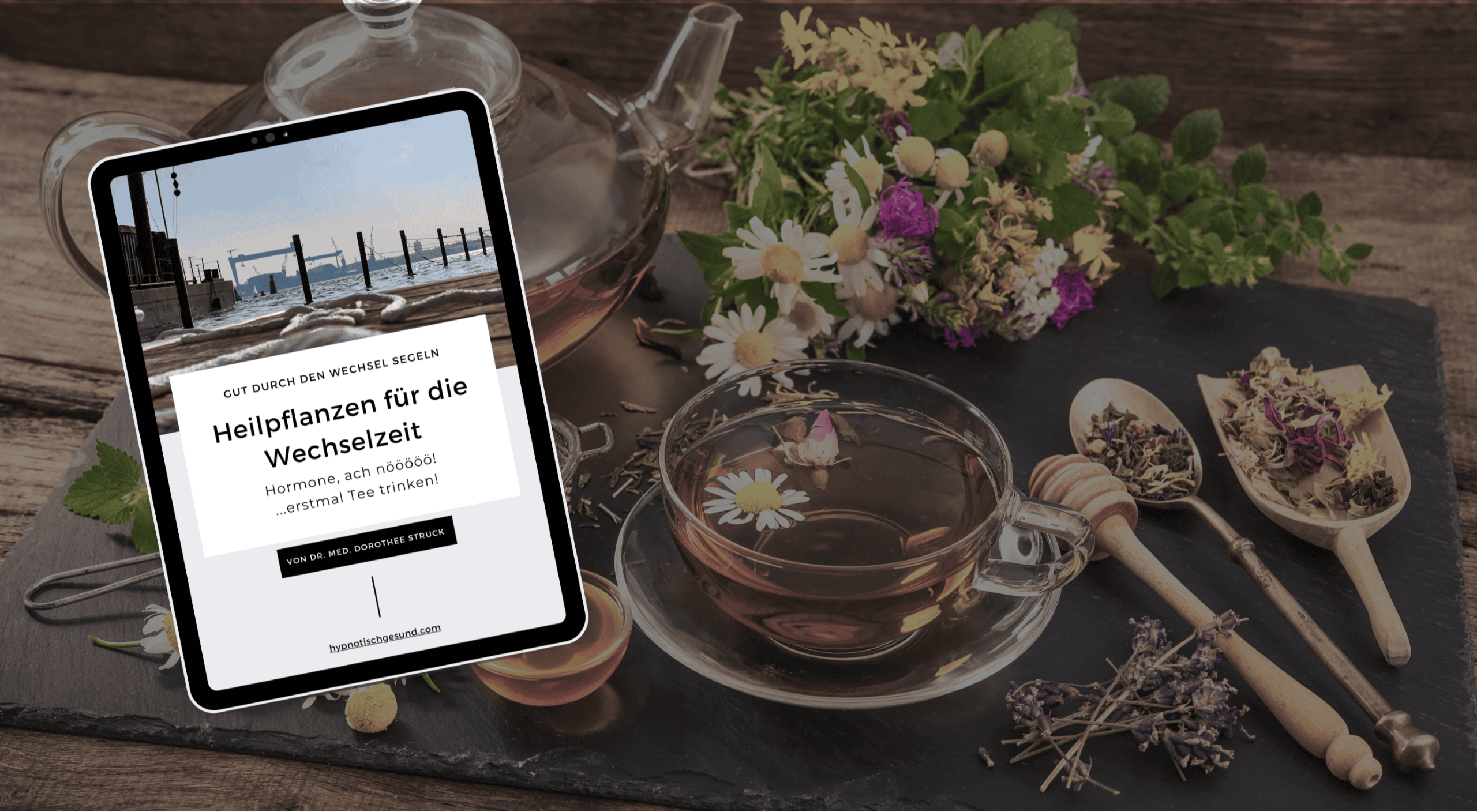 ebook Heilpflanzen für die Wechselzeit