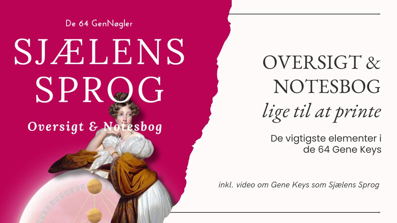 Sjælens sprog, oversigt og notesbog 64 gene keys