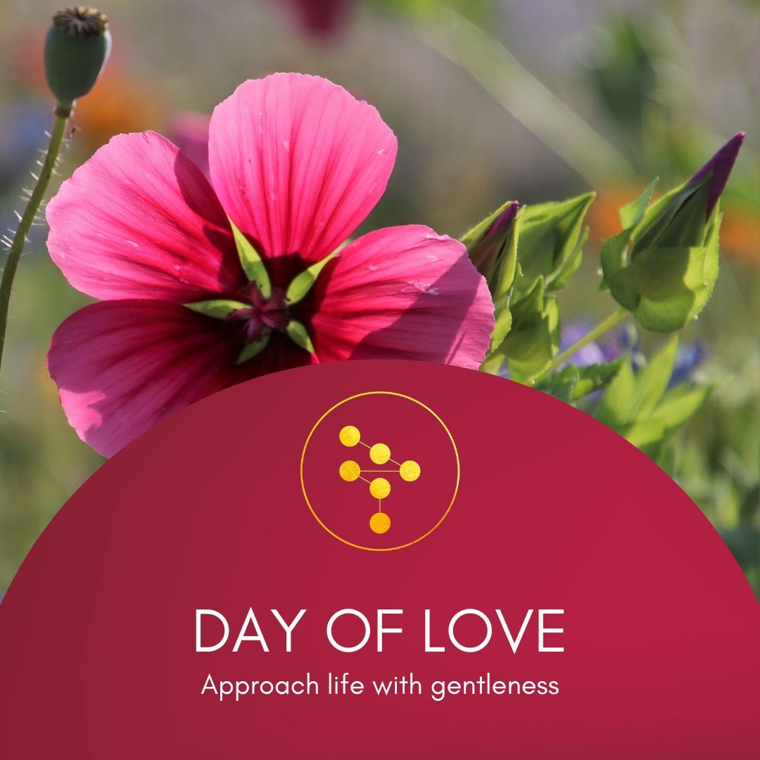 Gene Keys Venus og intro kursus