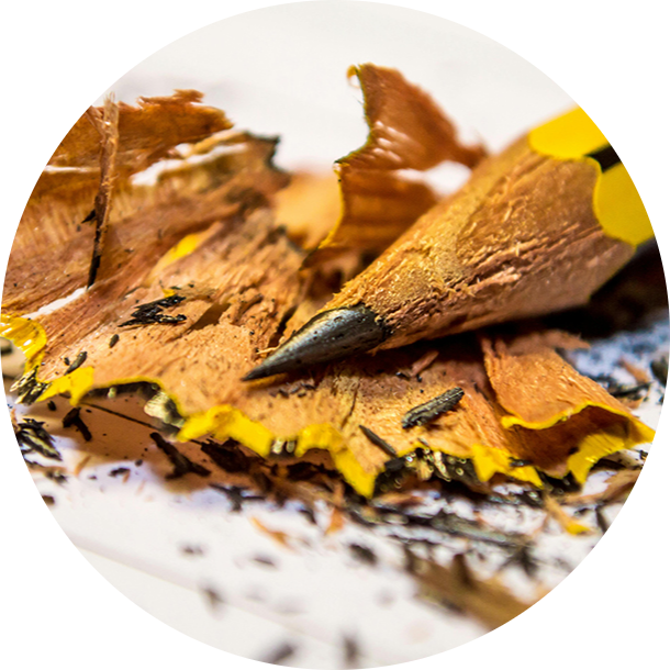 Exercice de dessin d’animaux pour débutants