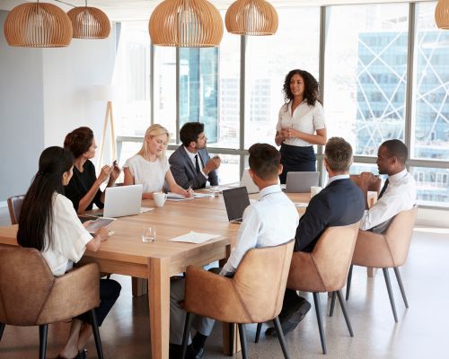 500 x 400 Meeting, one woman speaking.