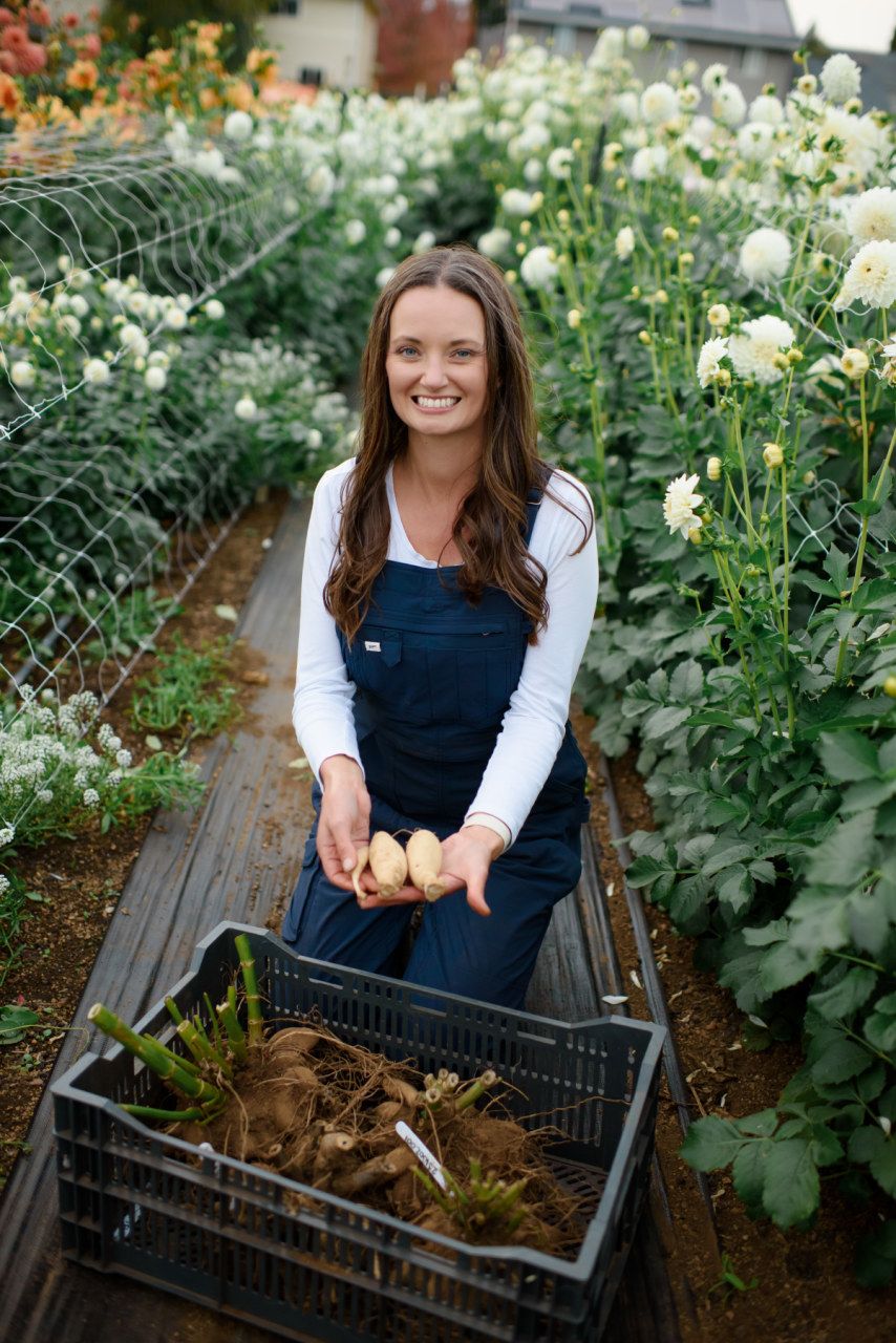 Jennifer kneeling in the dahlia rows with a crate of freshly dug tubers