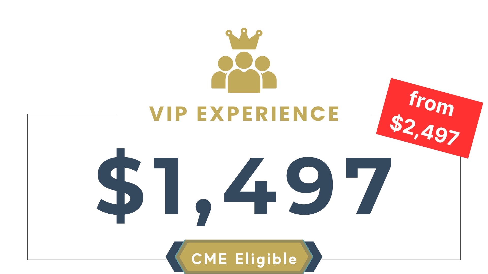 VIP Ticket