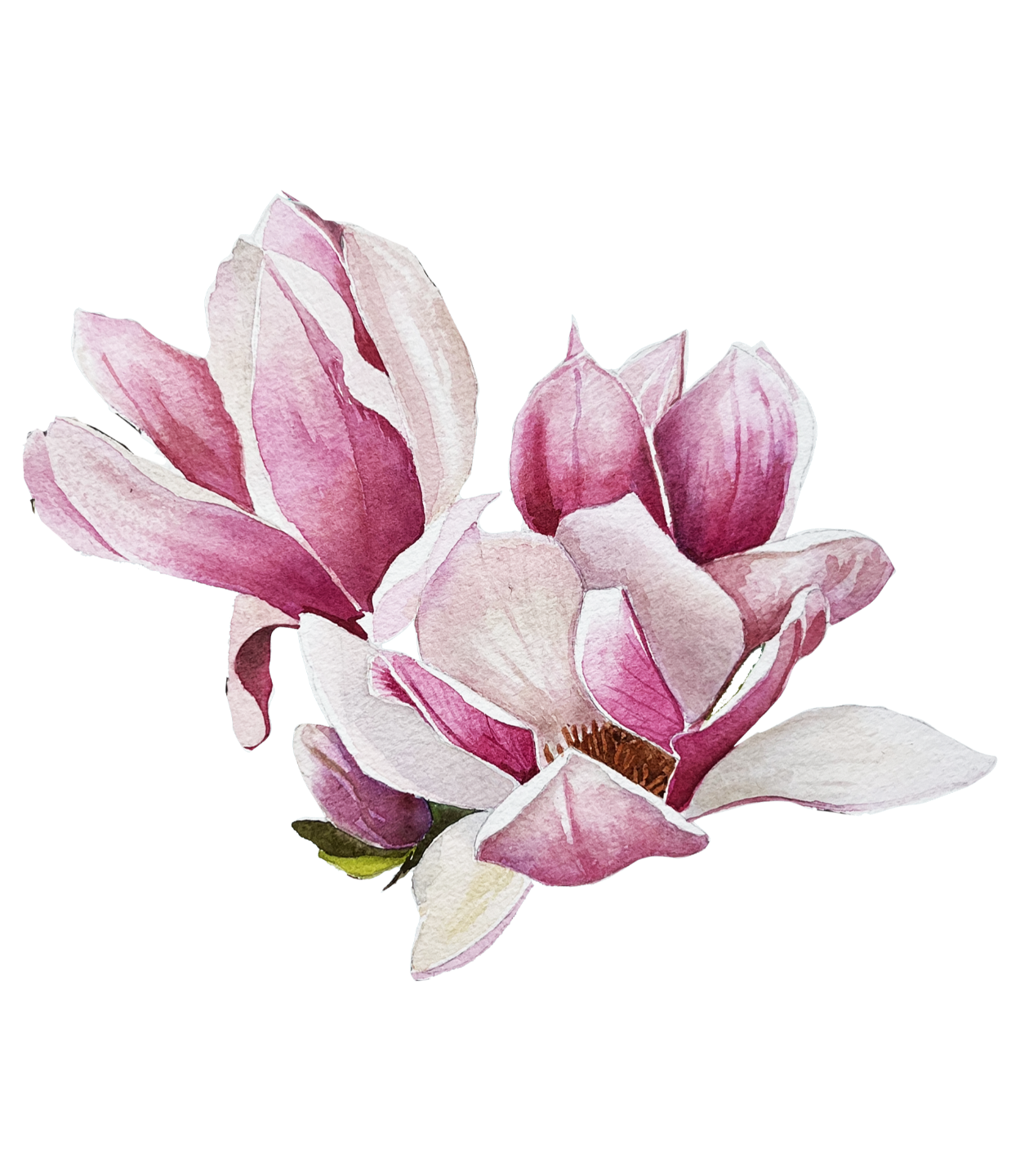 Painting of an Aperol