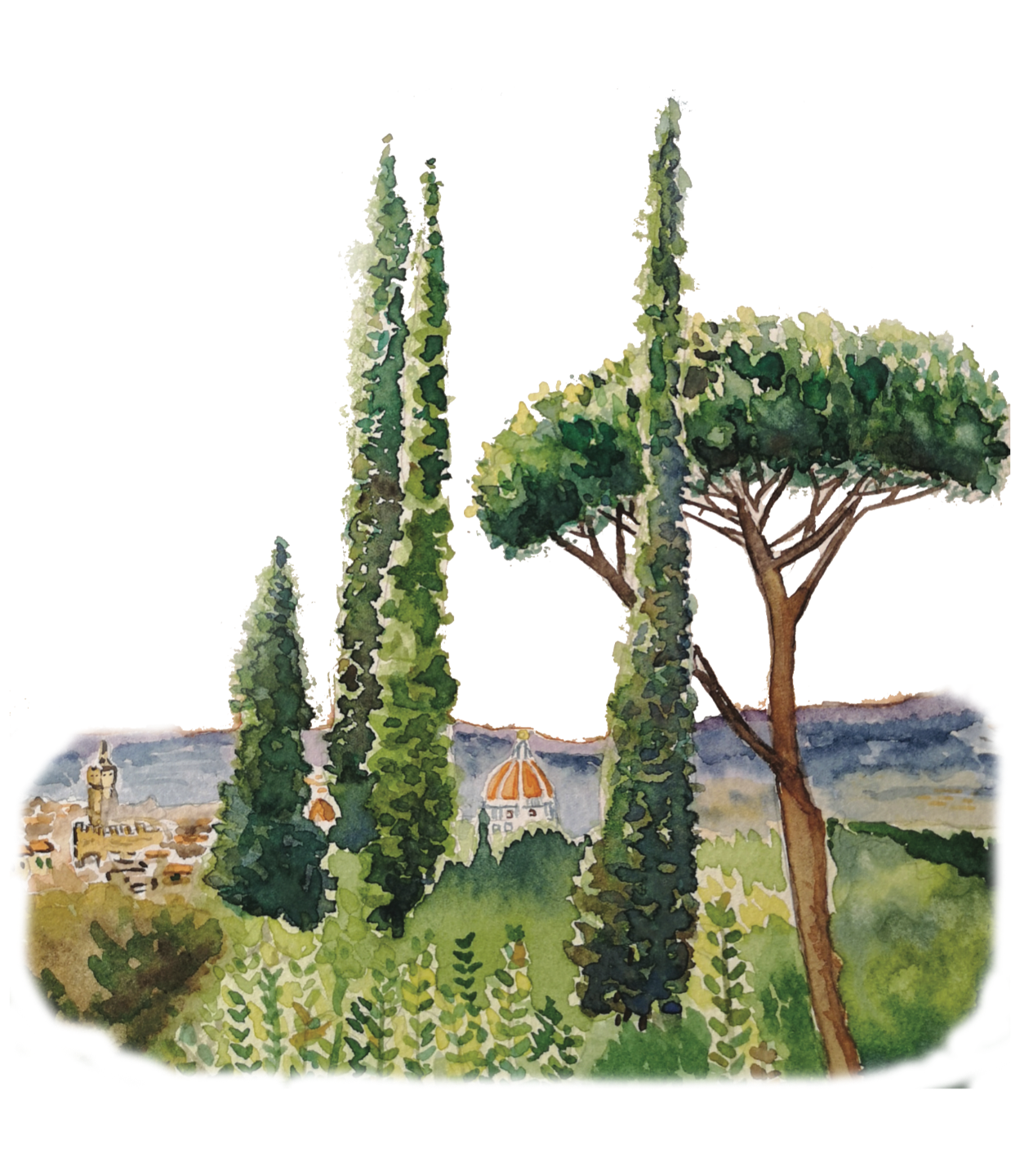 Painting of a Paloma