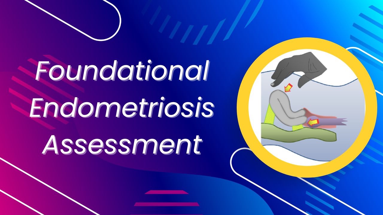 Foundational Endometriosis Assessment