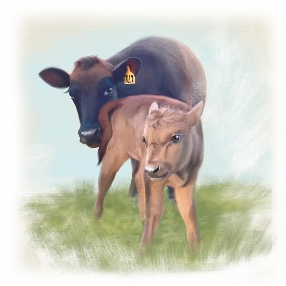 Dexter cow Tilly standing protectively behind her newborn calf Hazel — both red-coated, standing in soft meadow grass. Illustration from Musings from the Meadow.”