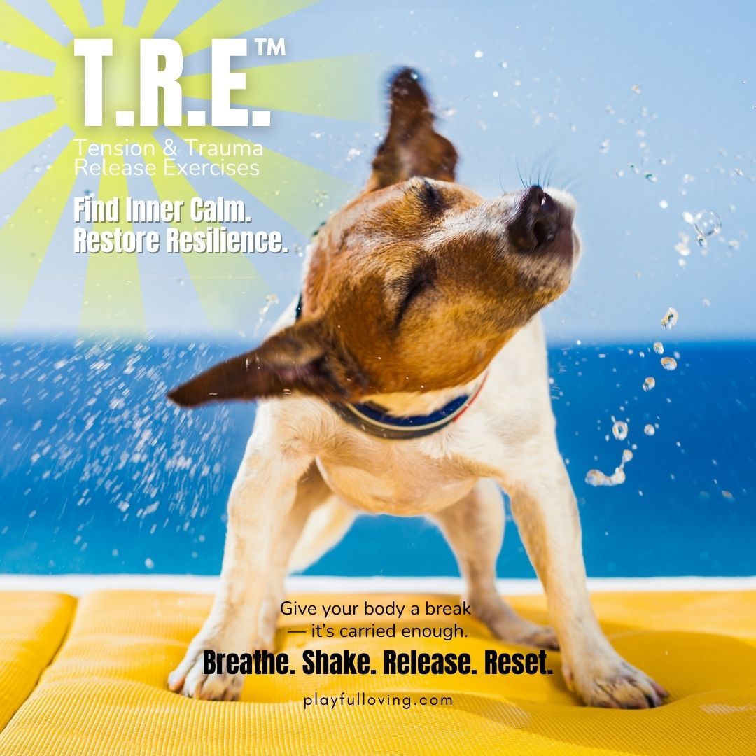 TRE little dog shaking water off