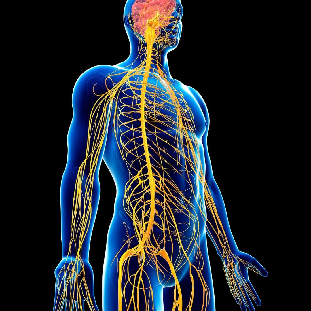 Paramedic sitting in ambulance