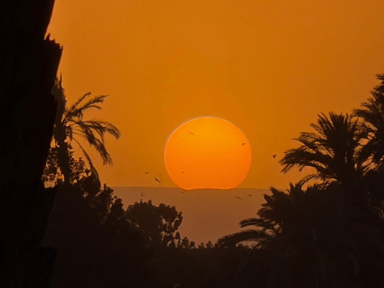Égypte