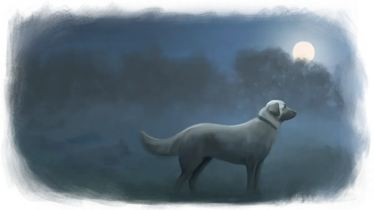 A calm Anatolian Shepherd stands watch beneath a full moon, guarding the meadow while the Dexter herd sleeps safely in the misty distance.
