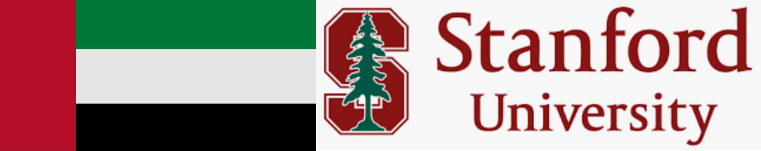 UAE-Stanford Innovation Fellow