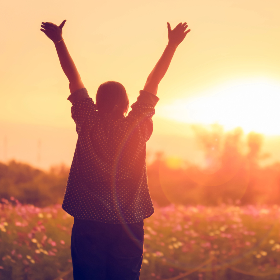 A purple flower reaches for the sun. 