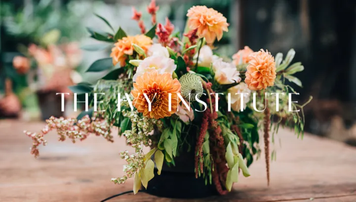 The Ivy Institute