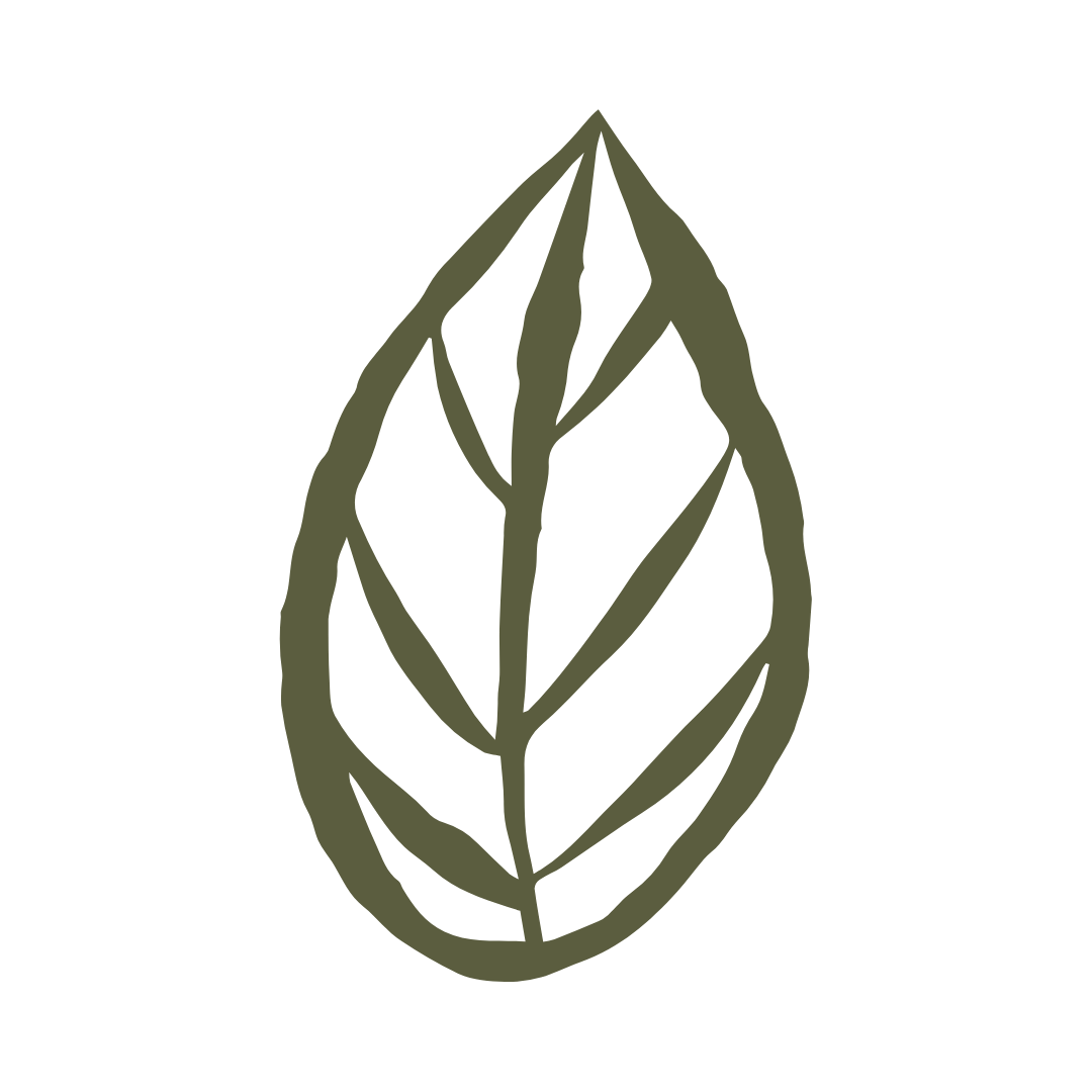 Rigor icon