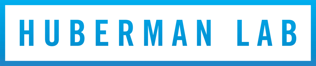 Huberman Lab