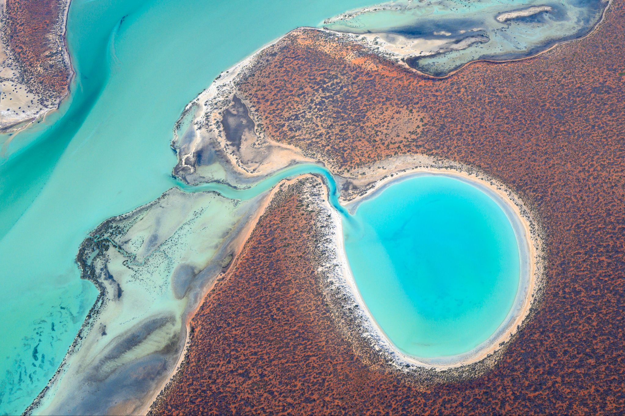 Shark Bay and Ningaloo Reef aerial photography workshop