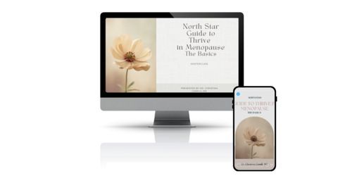 Metabolic Reset self-paced videos mock up