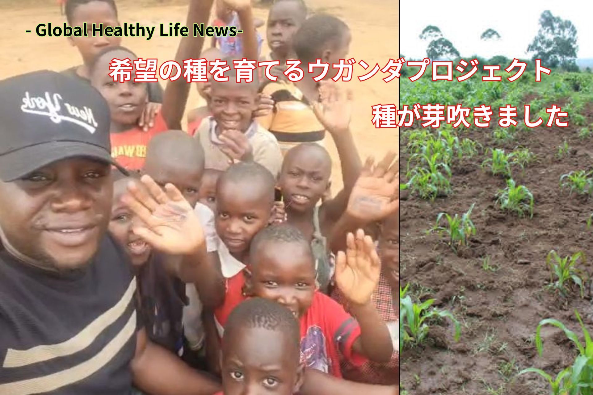 ローフード健康