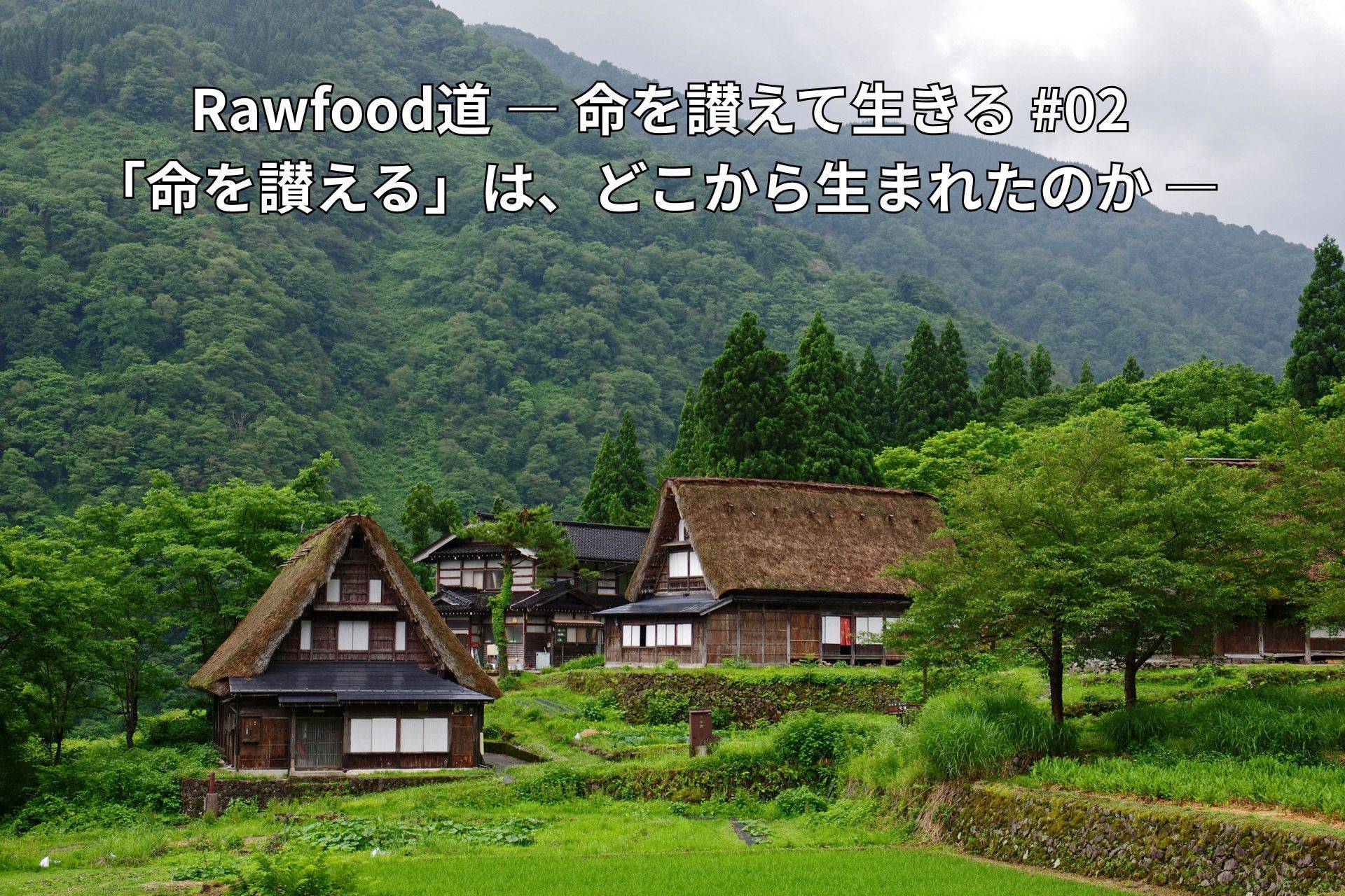 ローフード健康