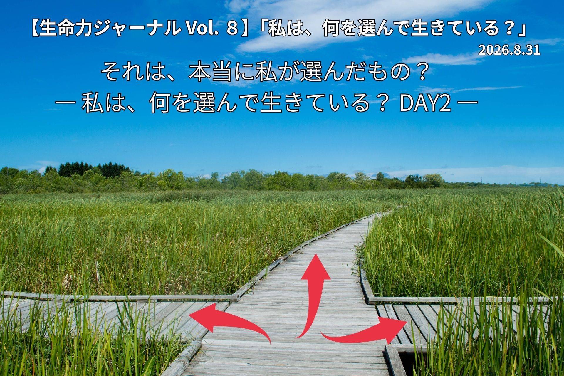 ローフード健康