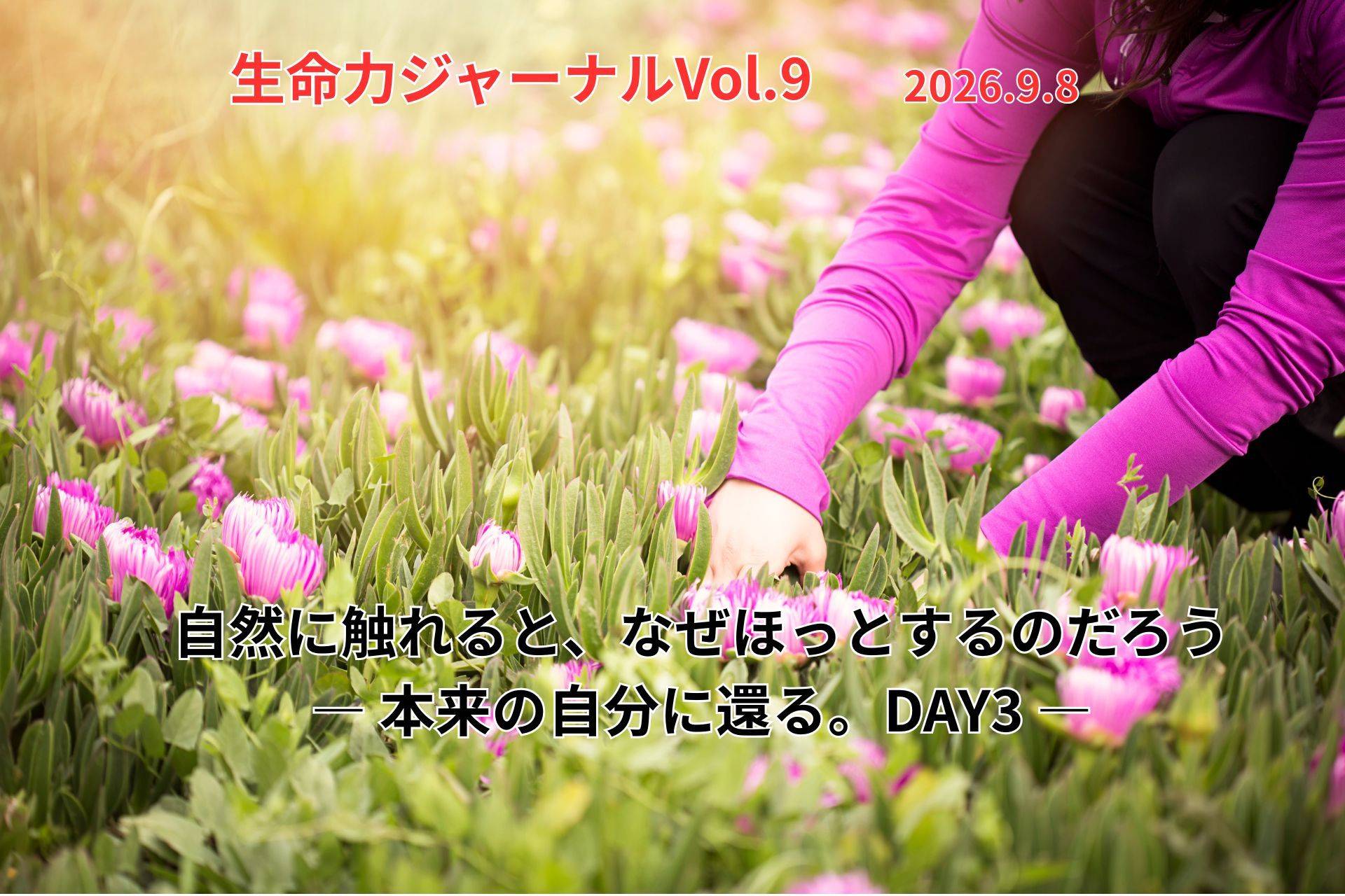 ローフード健康