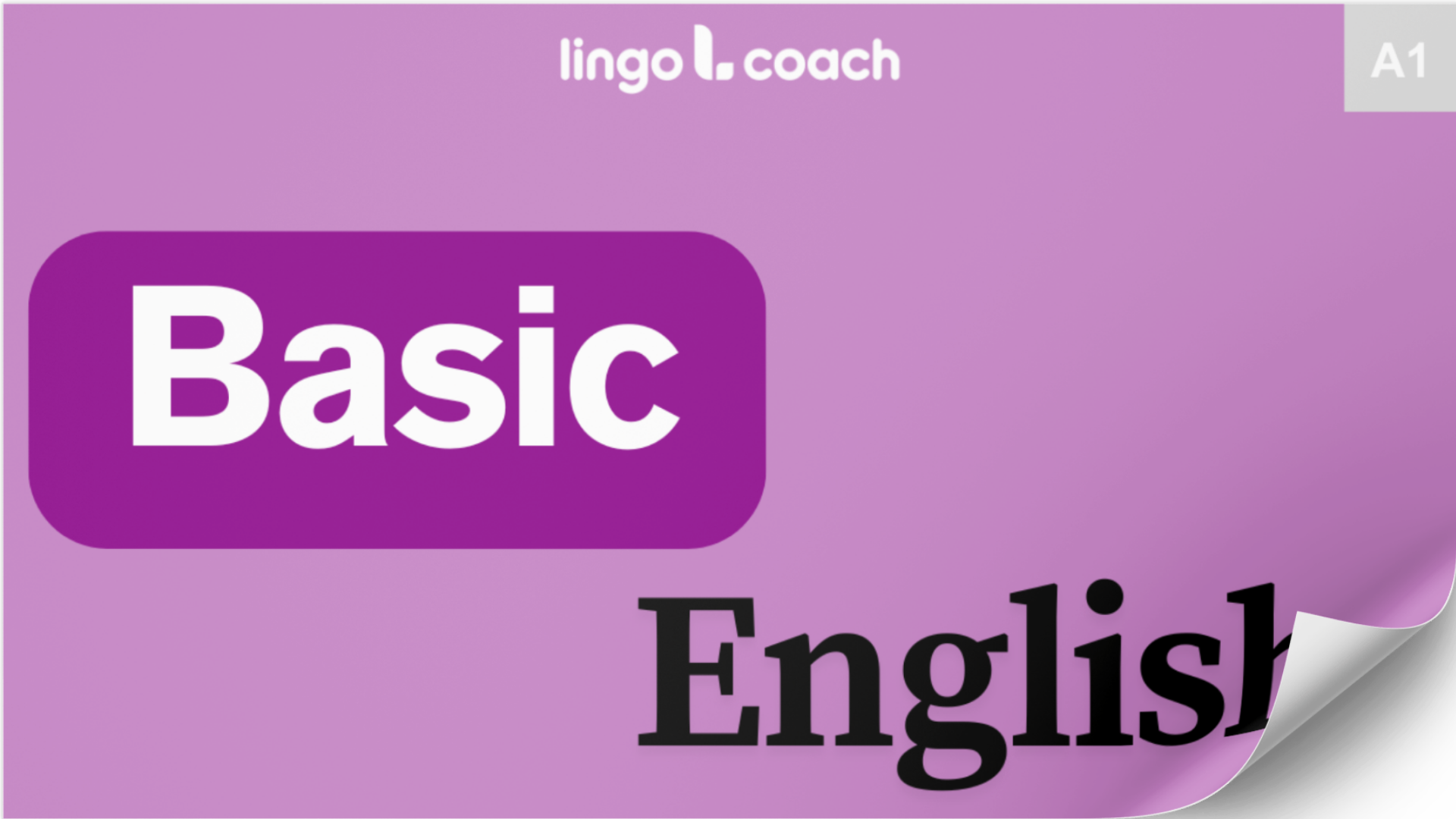 programa de estudios inglés básico
