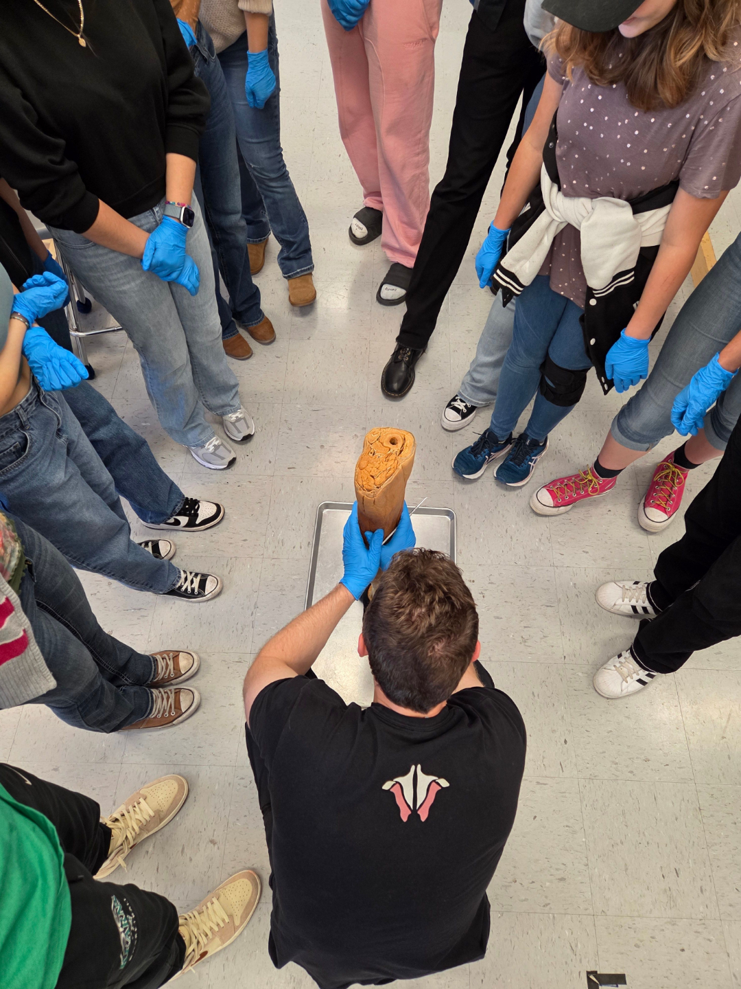 Massage Workshop - Institute of Human Anatomy