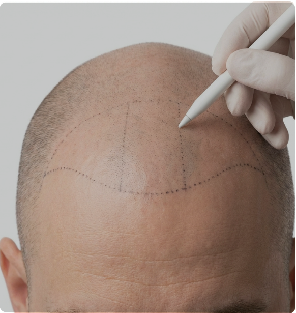 Online Business Tools