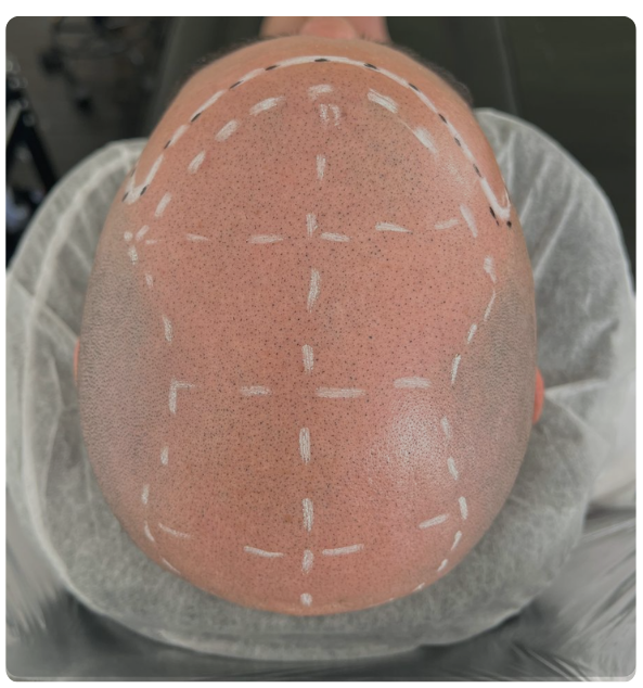 Online Business Tools