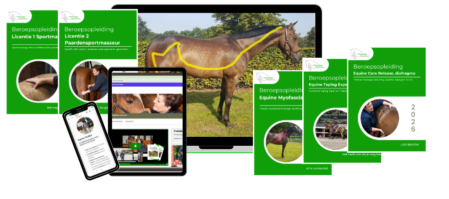 Licentie 3 Sportmasseur Pro