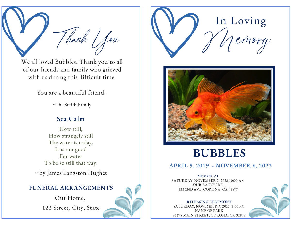 Two-page spread showing cover and thank-you page with wave motif and blue accents.