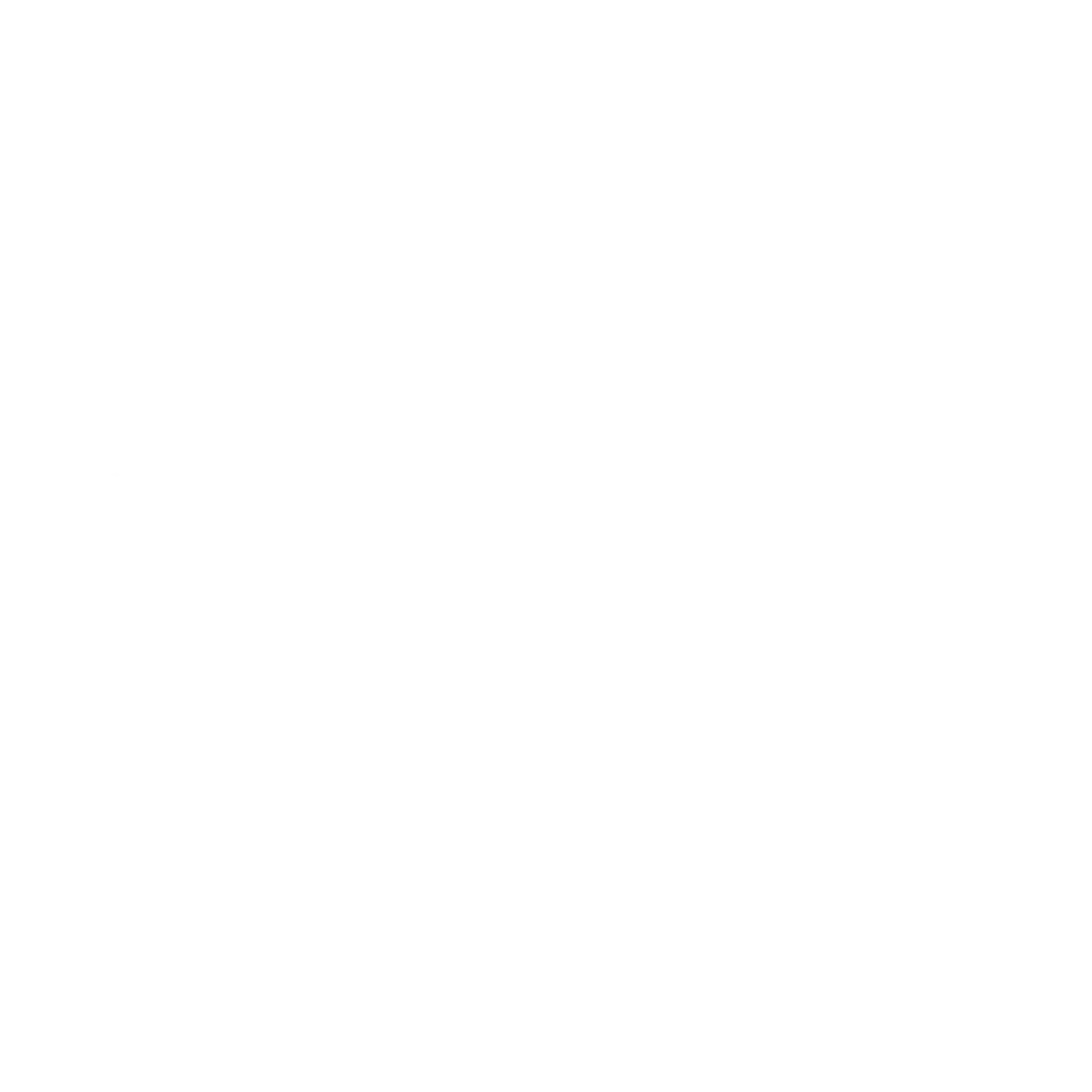 Family First Life