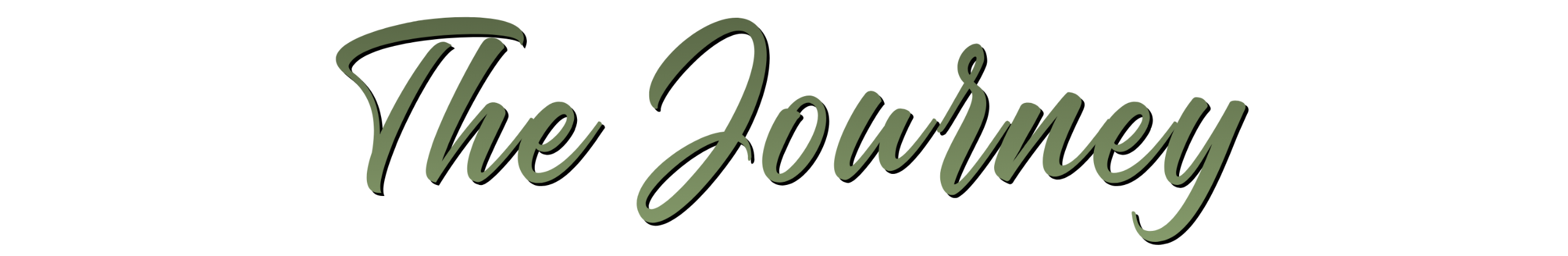 Discovery Call with Sharie Hohn