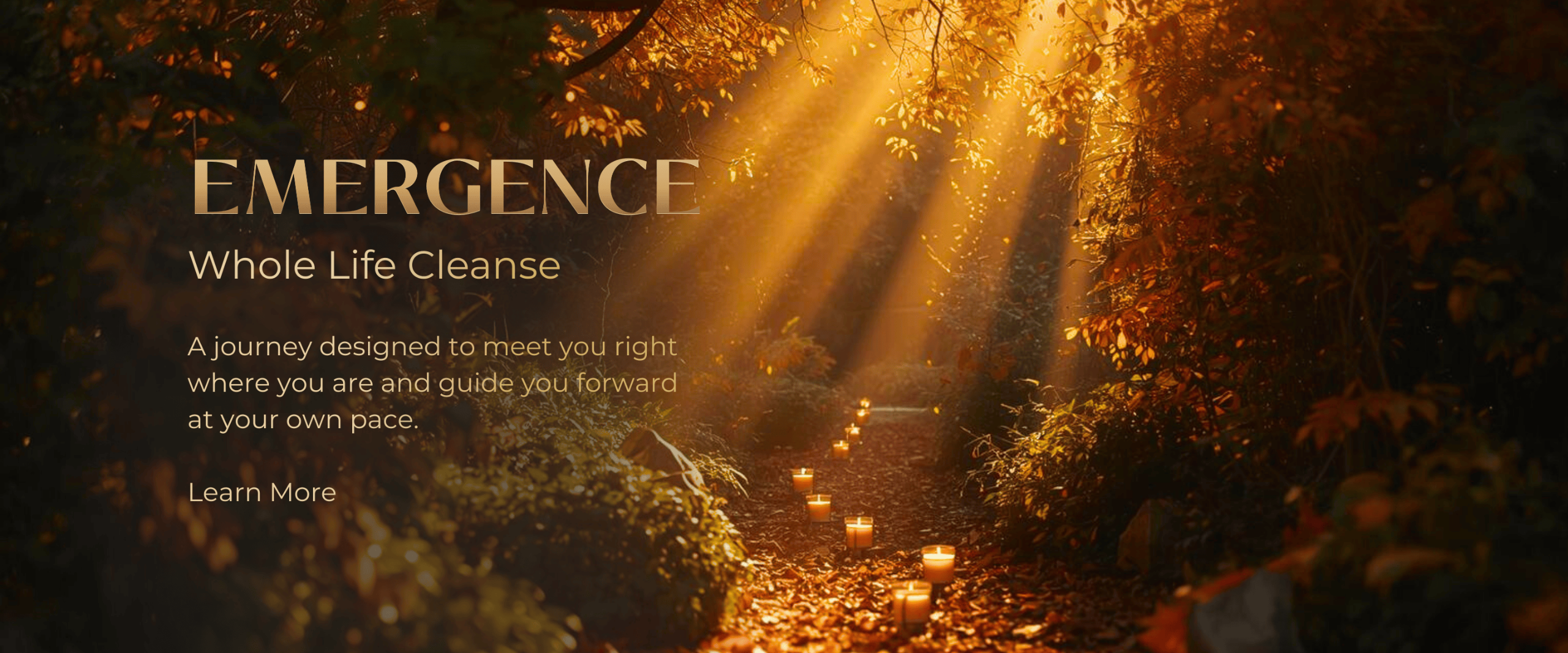 Emergence Whole Life Cleanse