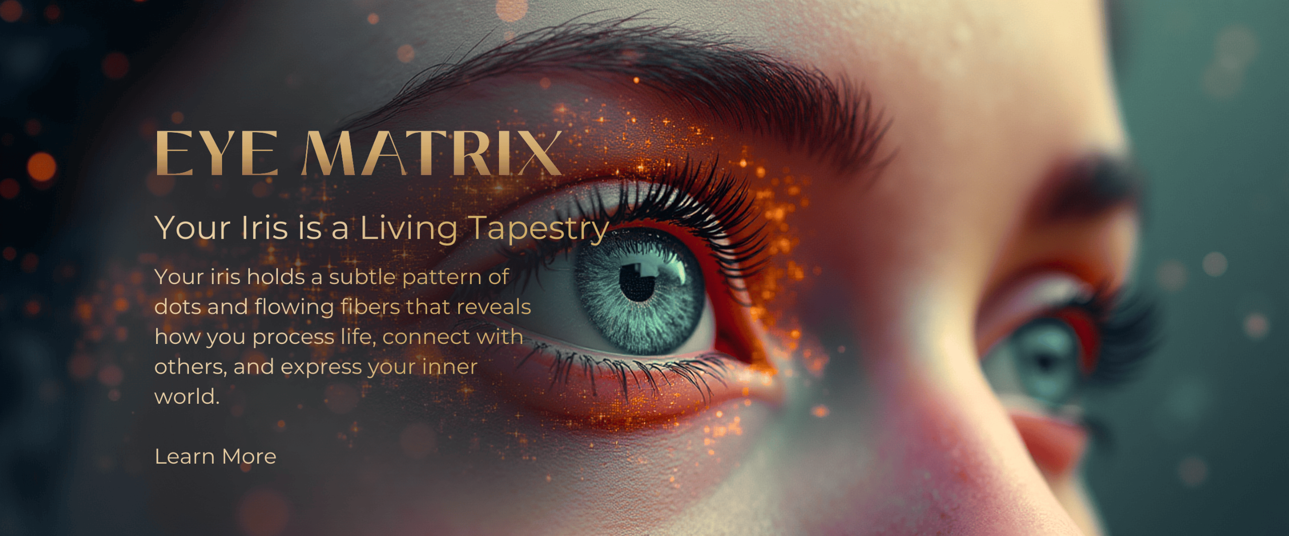 The Eye Matrix with Sharie Hohn