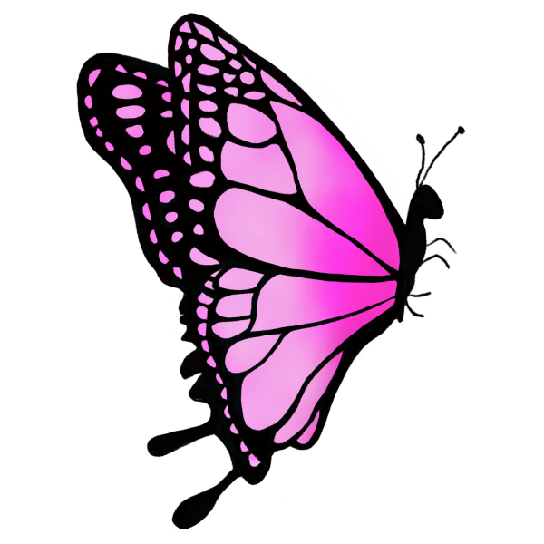 Pink butterfly