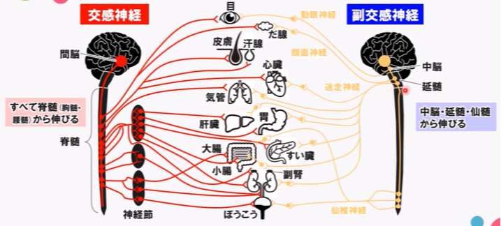 ローフード講座資料
