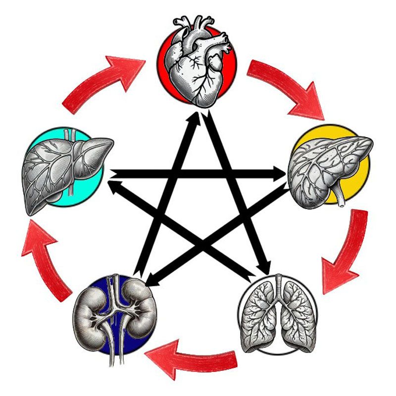 Styve Lagacé et Lydie Laprise, co-enseignants et propriétaire du Centre Cosmique et de l’Académie LG à Shefford, transmettant leur passion de la réflexologie et de la santé naturelle.