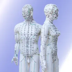 Styve Lagacé et Lydie Laprise, co-enseignants et propriétaire du Centre Cosmique et de l’Académie LG à Shefford, transmettant leur passion de la réflexologie et de la santé naturelle.