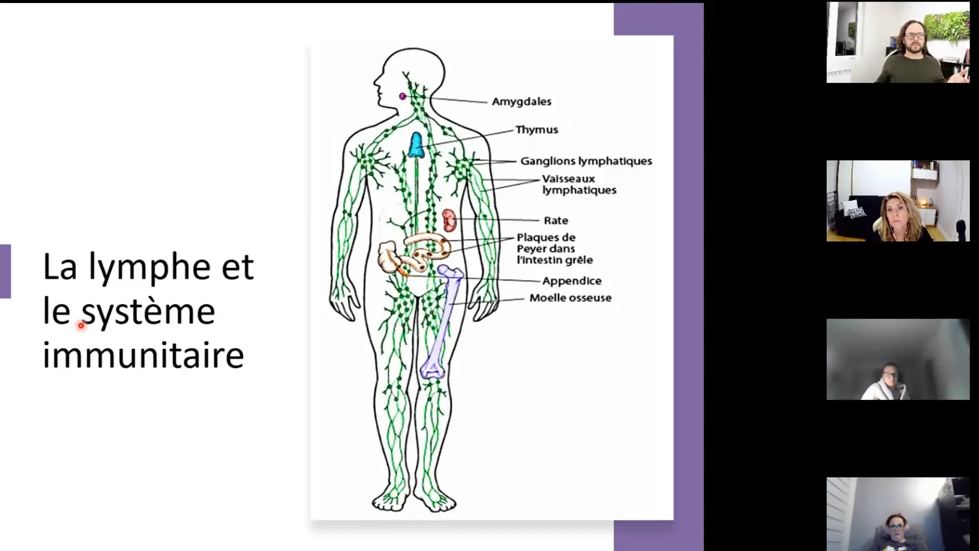 Image d’une classe virtuelle sur Microsoft Teams illustrant la collaboration, la proximité et le suivi personnalisé offerts dans les formations de l’Académie LG à Shefford.